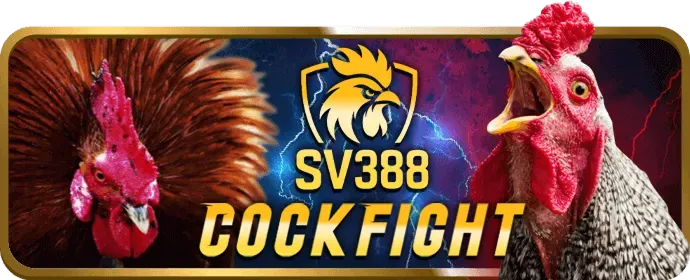 Tay đang giữ tiền mặt với biểu tượng hoàn trả, minh họa chương trình hoàn trả tại 33win69 chính thức.